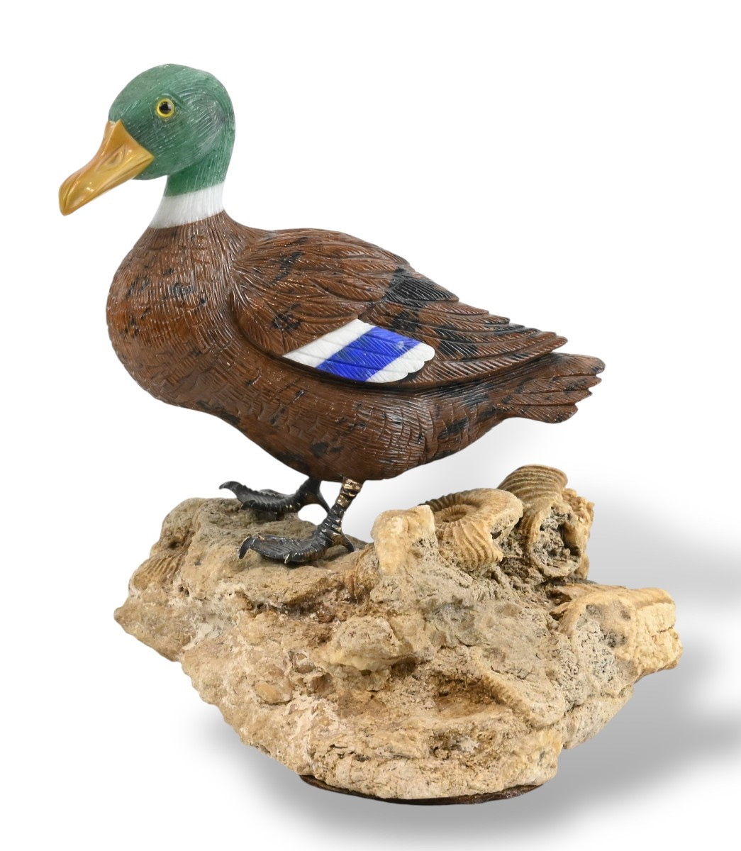 Hard Stone Duck On Rock With Fossil Shells - Switzerland - 20th Century